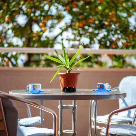 Nives 3* Podgora (Split-Dalmatia)
